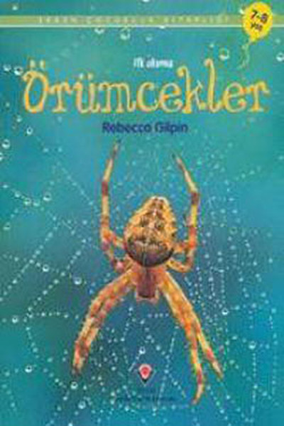 İlk Okuma  Örümcekler