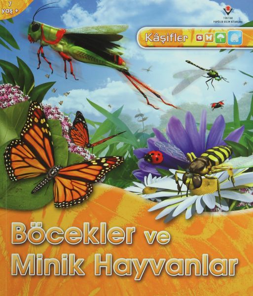 Böcekler ve Minik Hayvanlar  Kaşifler