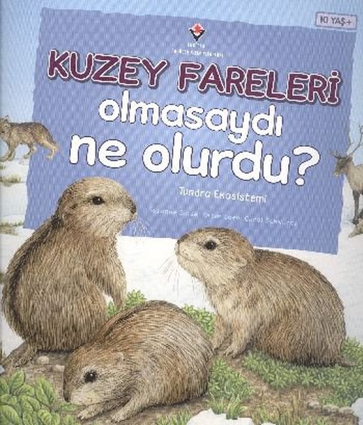 Kuzey Fareleri Olmasaydı Ne Olurdu