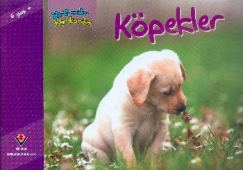 Köpekler  Bir Zamanlar Korkardım