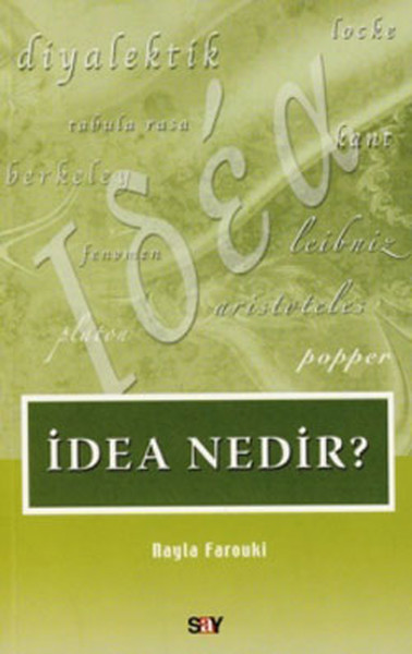 İdea Nedir