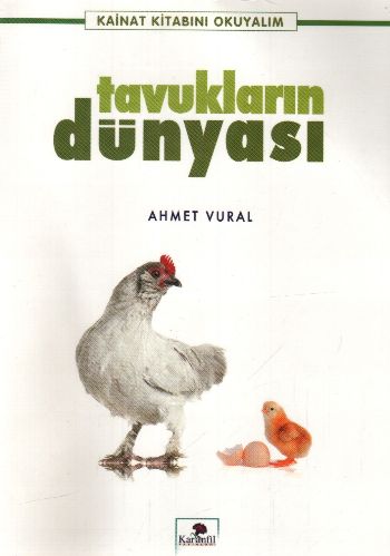 Tavukların Dünyası