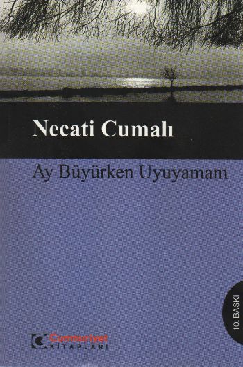 Ay Büyürken Uyuyamam Bütün Eserleri 5