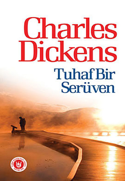 Tuhaf Bir Serüven