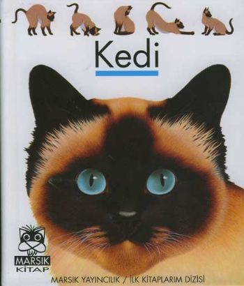 Kedi  İlk Kitaplarım Dizisi