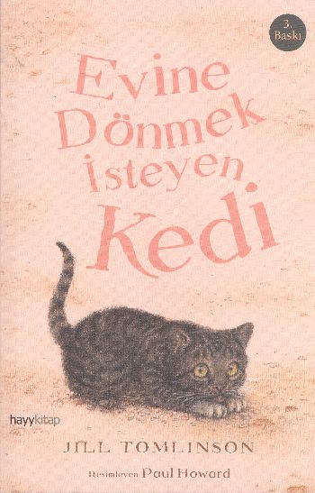 Evine Dönmek İsteyen Kedi