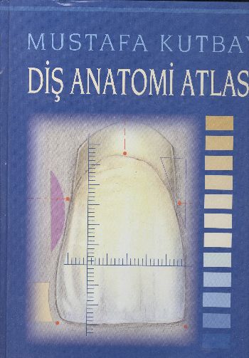 Diş Anatomi Atlası