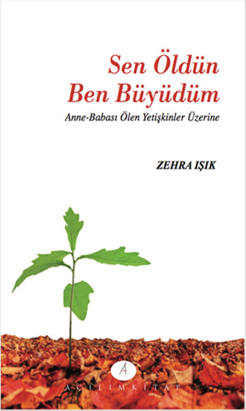 Sen Öldün Ben Büydüm  AnneBabası Ölen Yetişkinler Üzerine