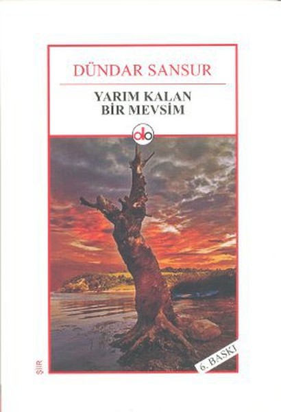 Yarım Kalan Bir Mevsim