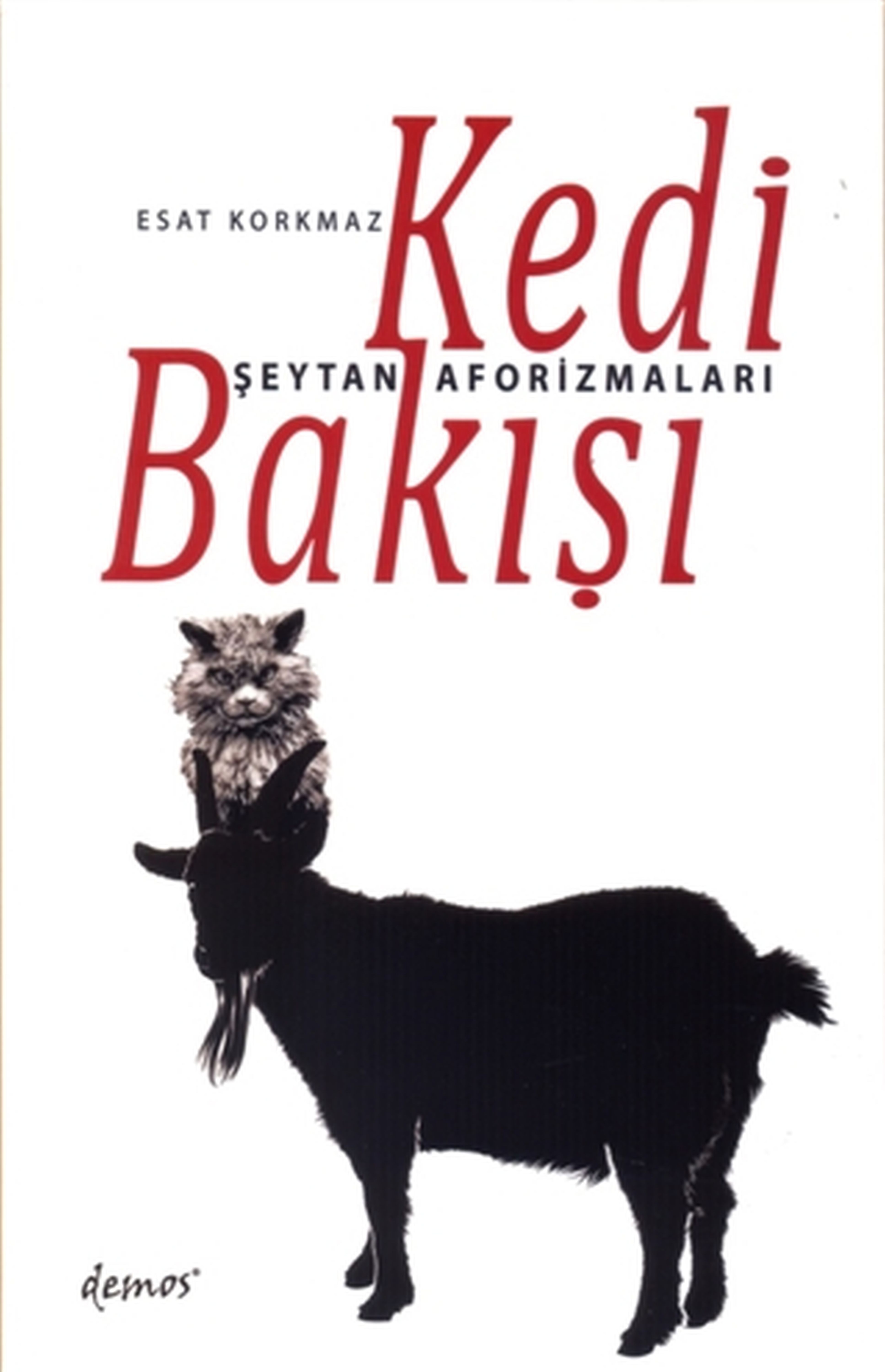 Kedi Bakışı