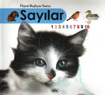 Sayılar Kitap + İnteraktif CDRom Ciltli